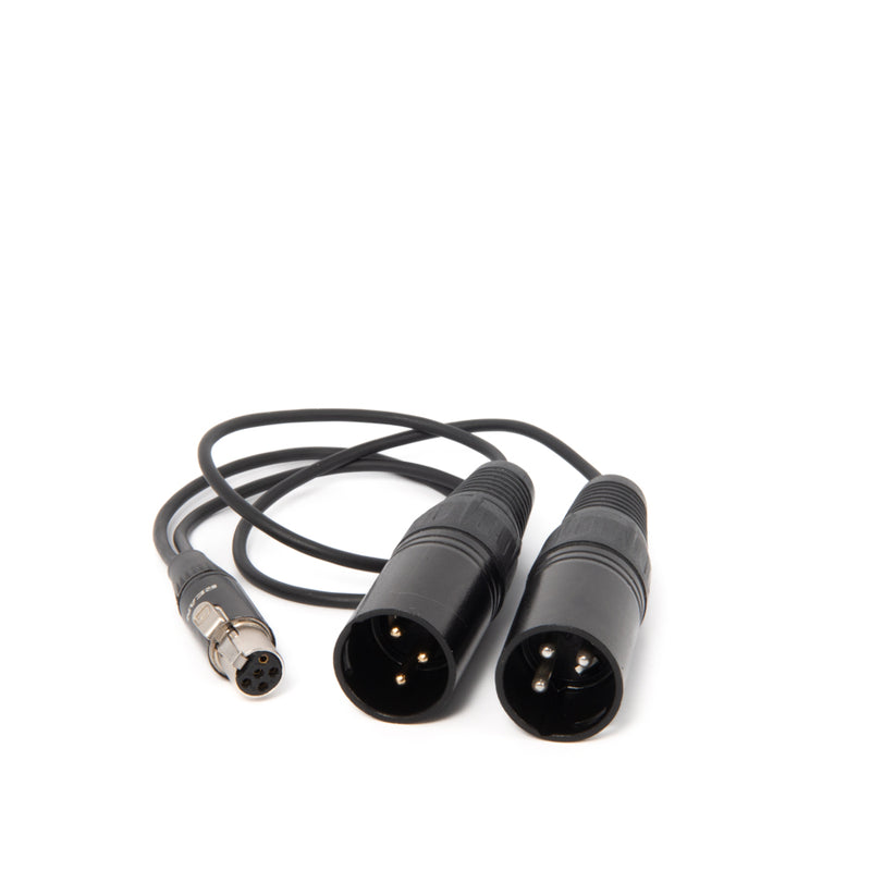 Austrian Cables AUC-69 TA5F to 2x XLR3M Splitter Cable