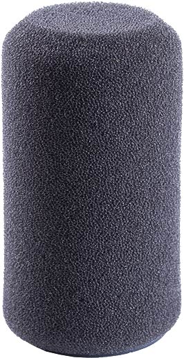 Schoeps B 1 D Hollow foam Popscreen for 20 mm B-Stock