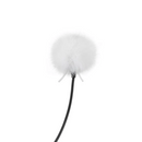 Bubblebee The Outdoor Mic Kit for Deity W.Lav Pro Accessories Bubblebee Industries