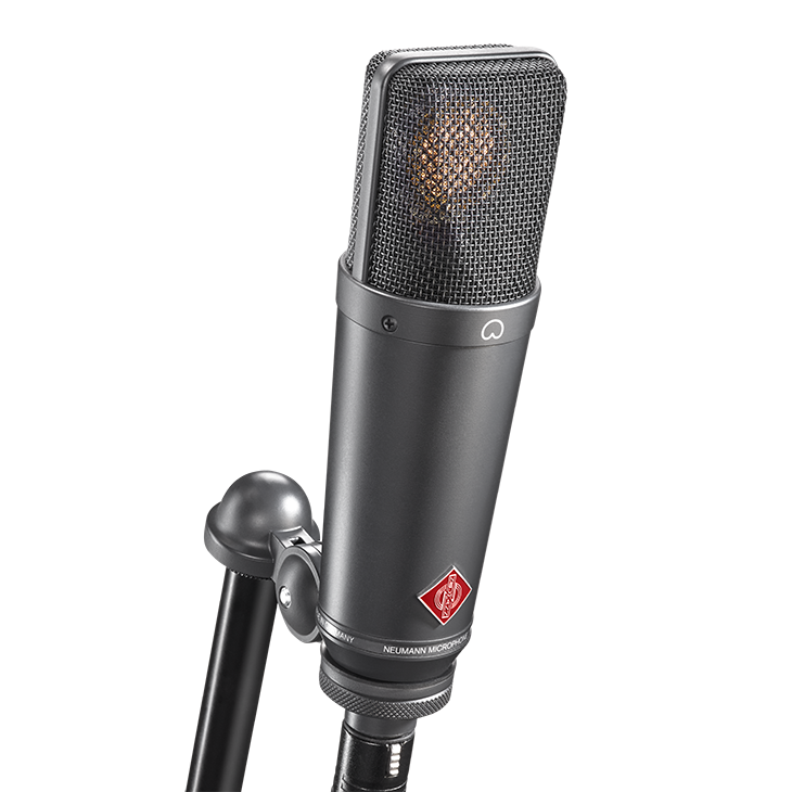 Neumann TLM 193 Studio Microphone