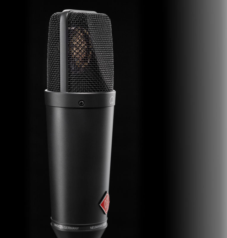 Neumann TLM 193 Studio Microphone