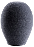 Schoeps B 5 D Hollow Foam Popscreen for 20 mm Accessories Schoeps Mikrofone Normal Gray
