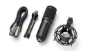 Tascam TM-70 Dynamic Microphone for Broadcast Streaming Tascam