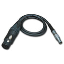 Beachtek BT-LF 5-Pin XLRF to 6-Pin Lemo Cable Sound Beachtek