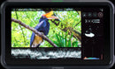 Atomos Shinobi 5-inch HDMI Monitor Video Atomos